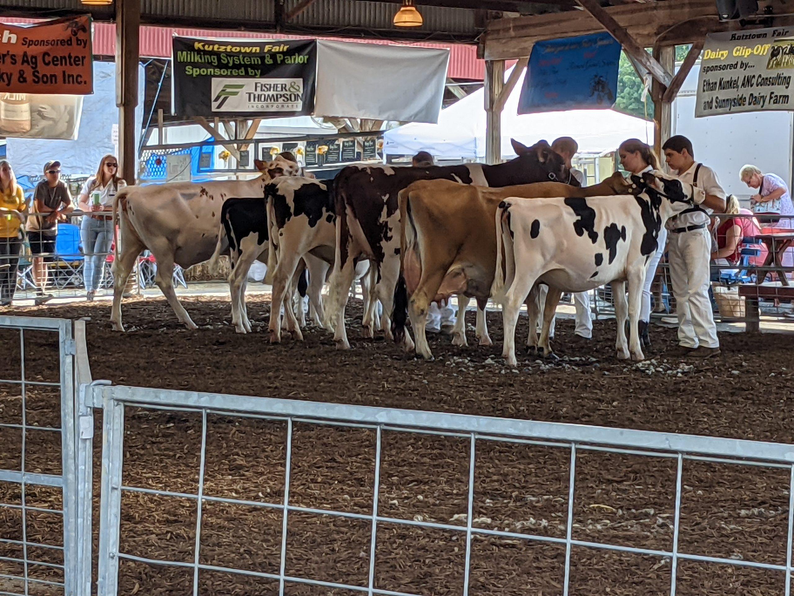 Celebrating 152 Years Kutztown Fair